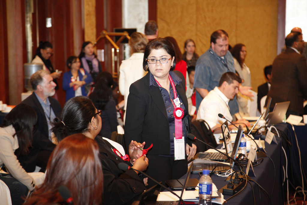 ICANN 46 | APRALO Showcase